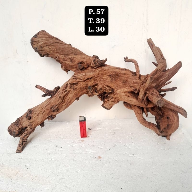 Kayu Aquascape - Kayu Santigi