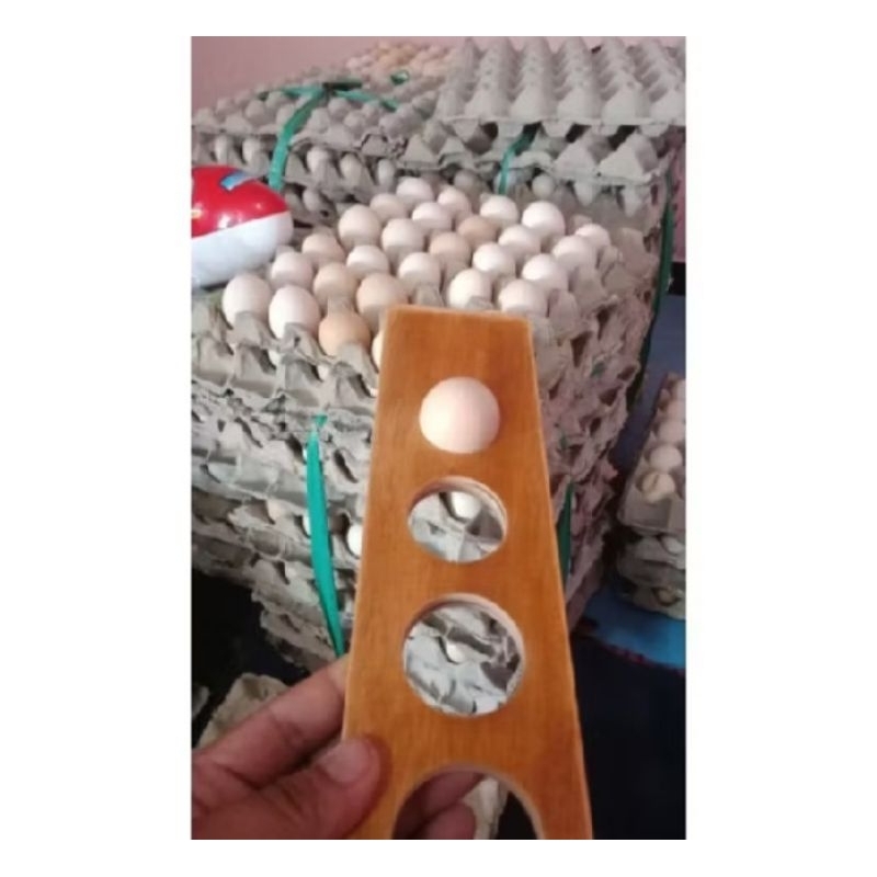 Alat ukut telur plong telur ayam bebek