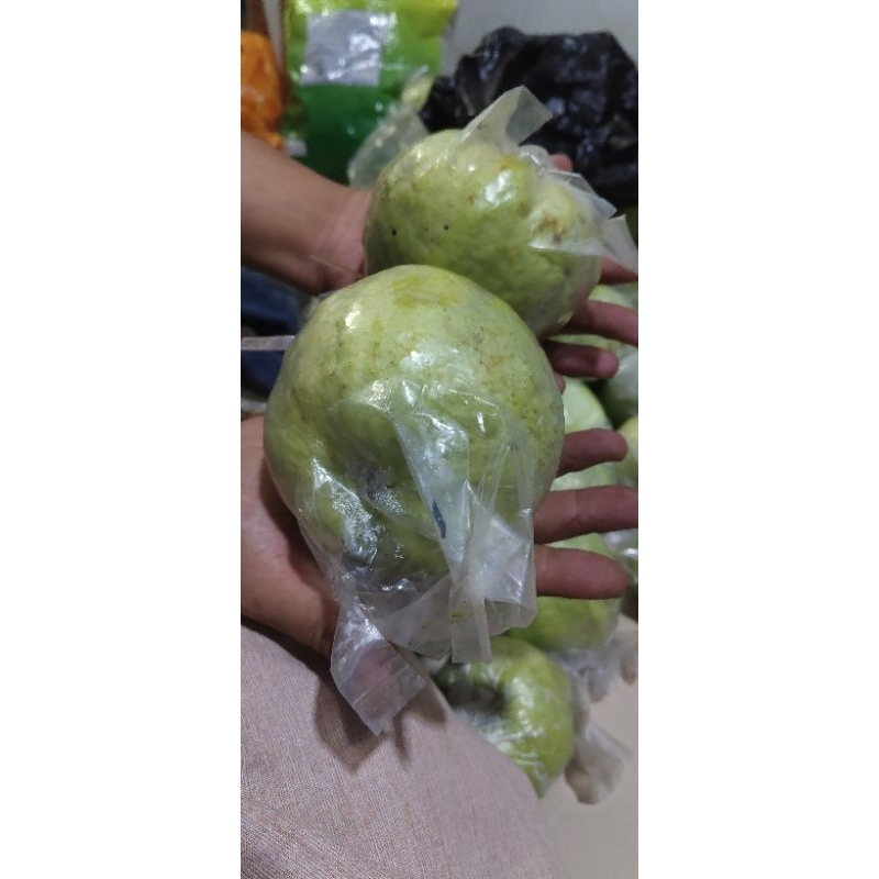 

Jambu Kristal / Jambu Tanpa Biji / Non biji