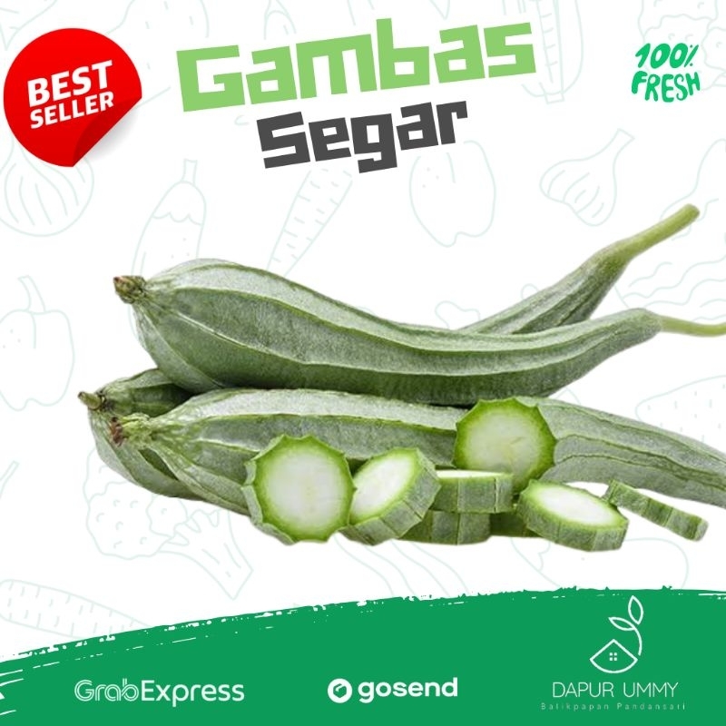

SAYUR FRESH • Gambas • Oyong