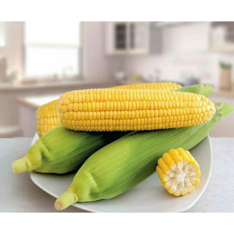 

Jagung Manis 900 - 1 kg l Jbp_Fresh