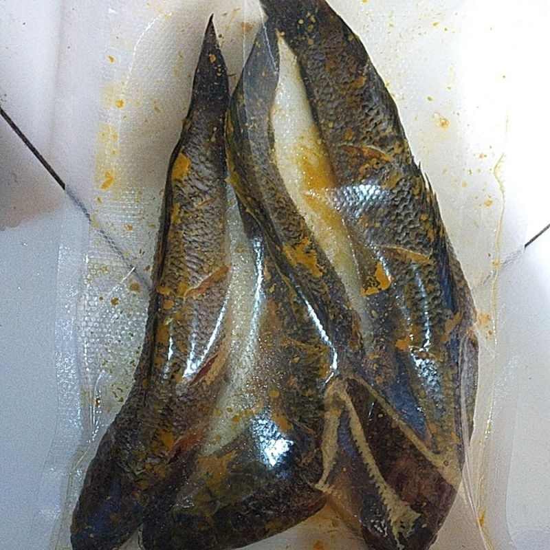 

Ikan gabus bumbu kuning/siap goreng