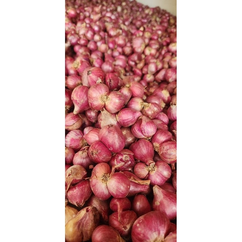 

250gr Bawang Meraaah merona FULL sortir