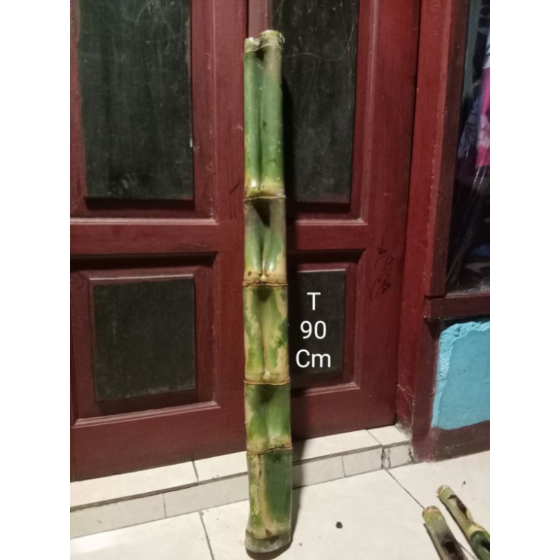 bambu langka dan antik