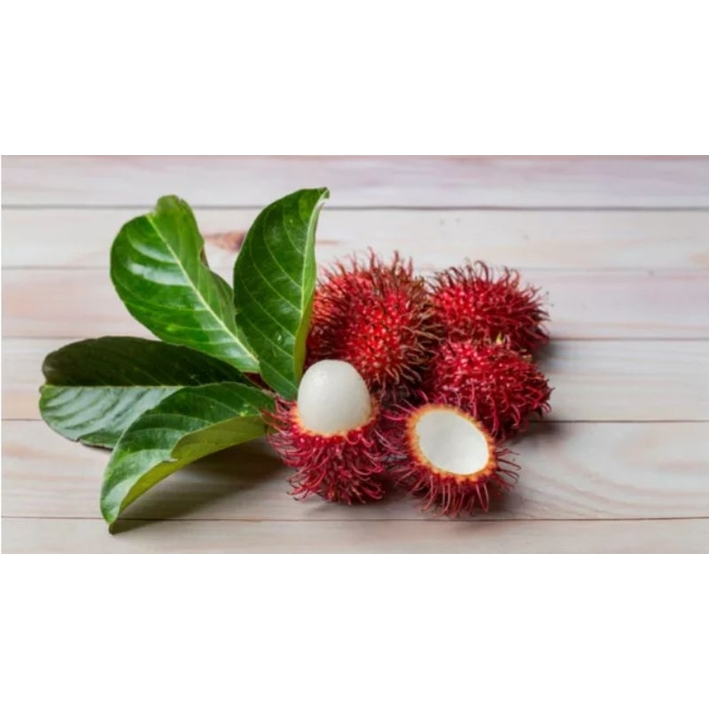 

Buah rambutan 1 kg buah rambutan manis parakan
