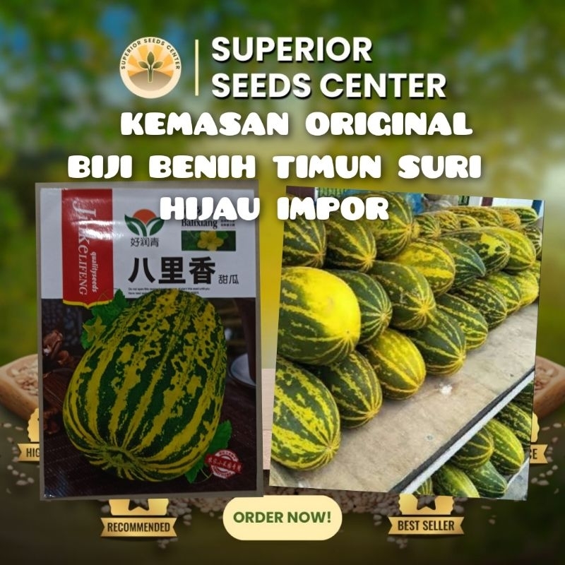 KEMASAN ORIGINAL BIJI BENIH TIMUN SURI HIJAU IMPOR