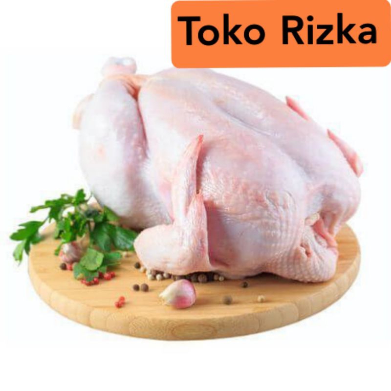 

Ayam Big Broiler utuh 12 UP 1250-1300 GR