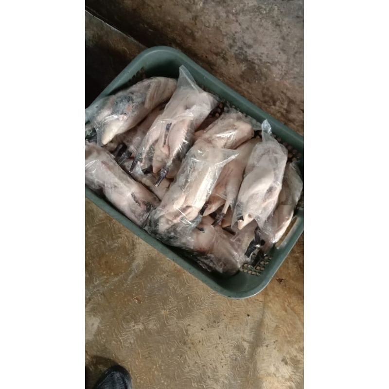 

DAGING BEBEK LOKAL FRESH 1KG 100% HALAL
