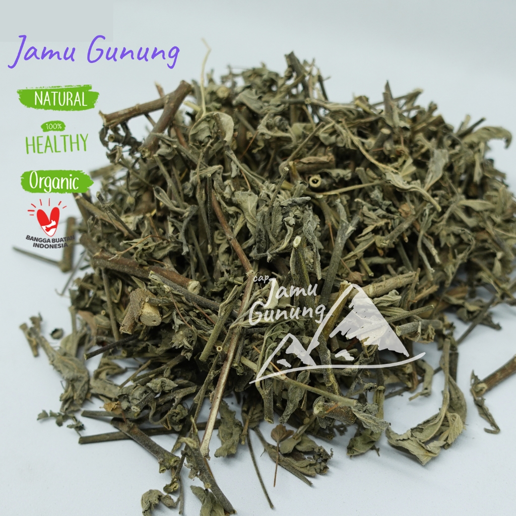 

Daun Sidaguri Kering 100gr Bersih dan Asli