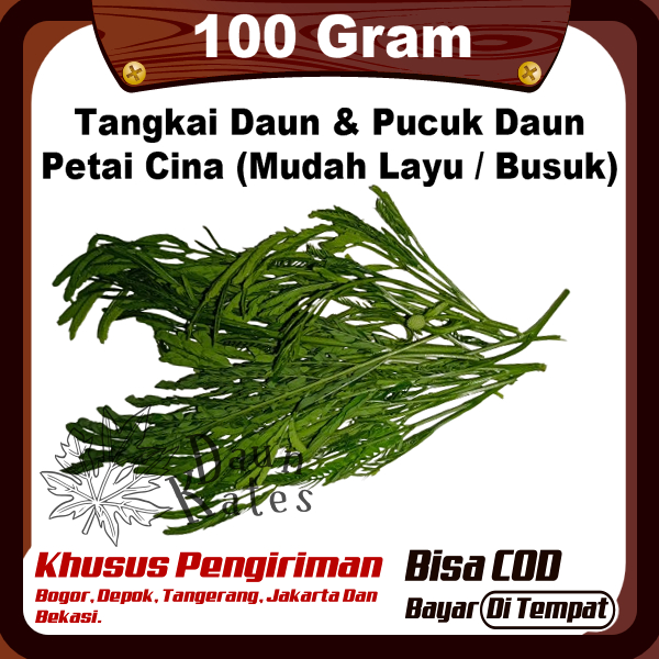 

Pucuk Tangkai Daun Tua Muda Petai Cina 100 Gram