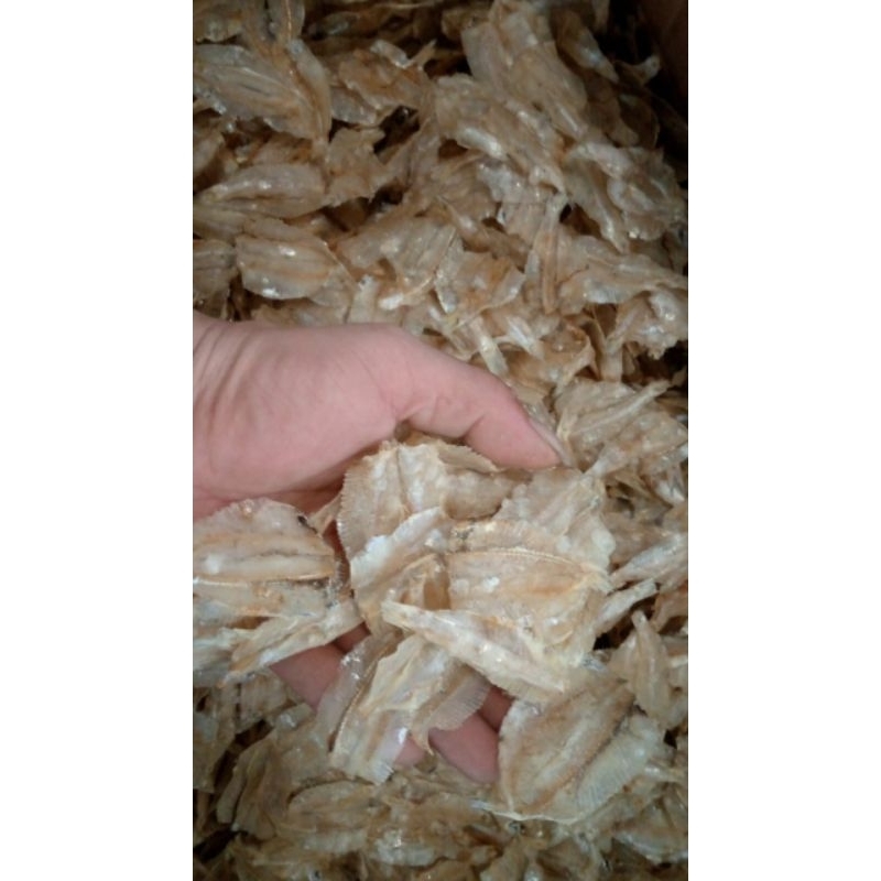

Ikan asin pakang kualitas premium