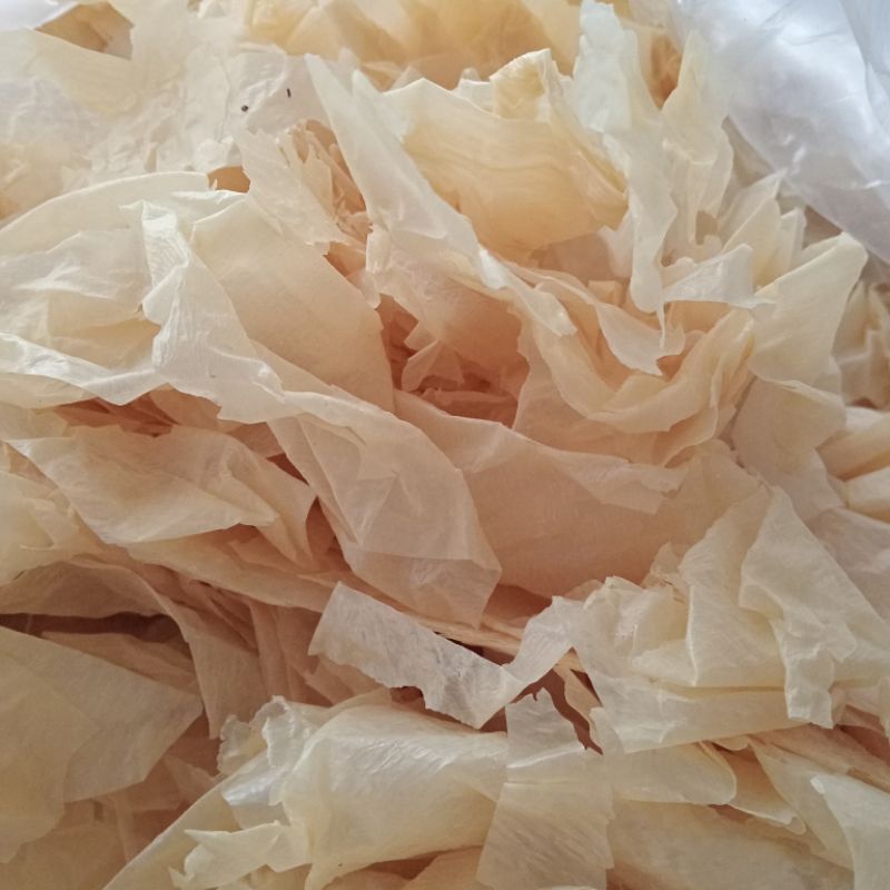 

RB22 Kulit Kembang Tahu Kering Patahan 1kg