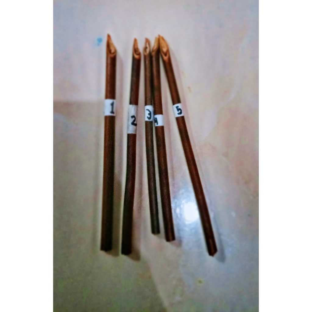 

HANDAM, PENA KALIGRAFI PAKU HUTAN