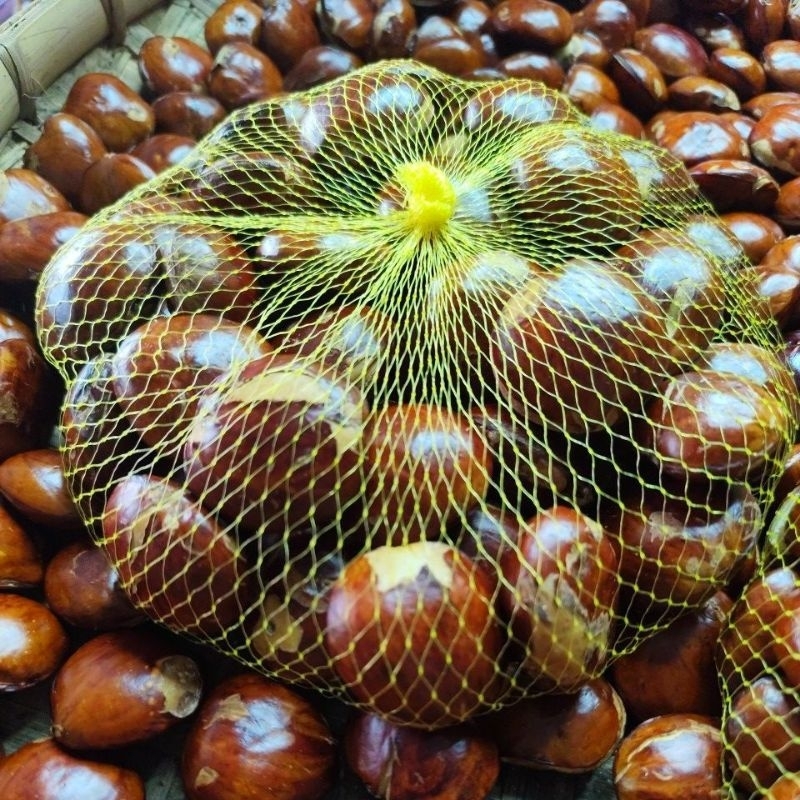 

Jengkoltuabesar1kg
