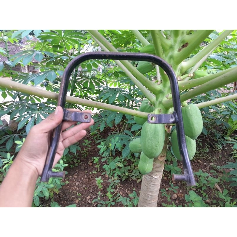 Begel honda gl pro original