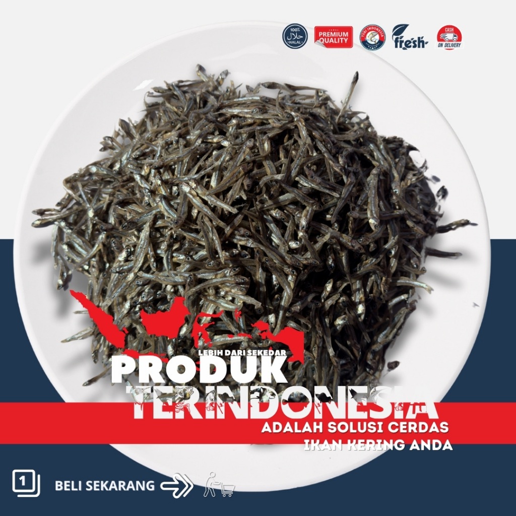 

Teri Tawar Kasar Pulau Mandeh Premium Terindonesia | 250 - 1000gr | Ikan Tawar