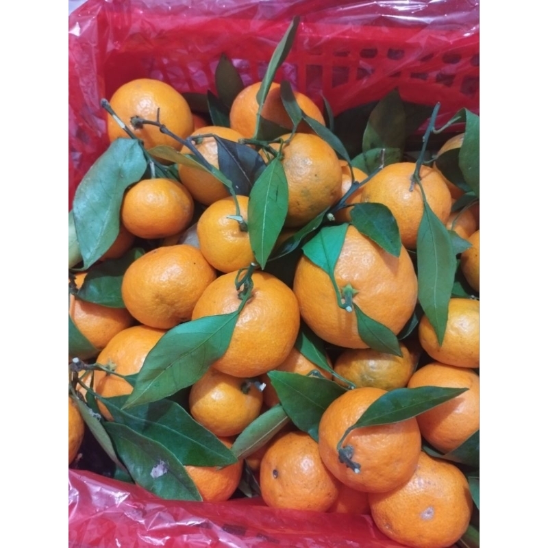 

500 gram Santang Manis