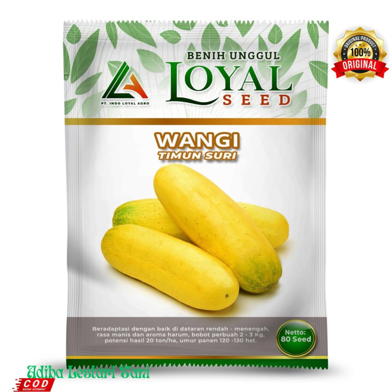Benih Timun Suri WANGI Isi 80 Butir - Timun Suri Golden Kuning Cap Loyal Seed