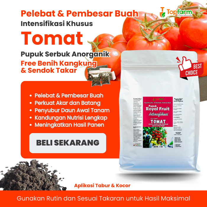 Pupuk Tomat Berbuah Lebat / Pupuk Tomat Cepat Berbuah / Pupuk Booster Pelebat Buah Tomat Terbaik