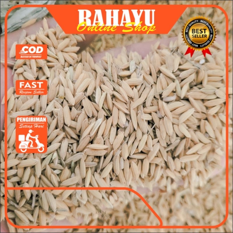 

GABAH BERAS PUTIH Bersih || Berat Bersih 1kg