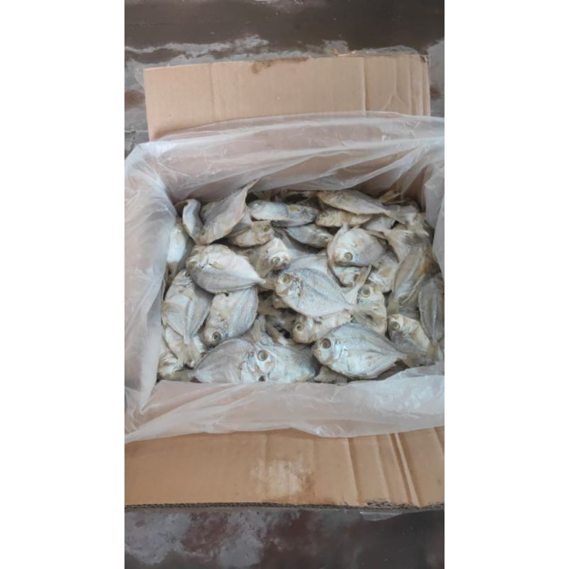 

PROMO IKAN ASIN PETEK / AMPAK KEMASAN 1KG