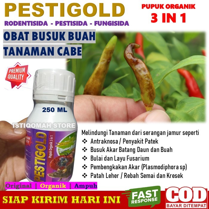 PESTIGOLD 250ML Fungisida Organik Hayati Obat Busuk Buah Cabe Paling Ampuh, Obat Semprot Untuk Busuk