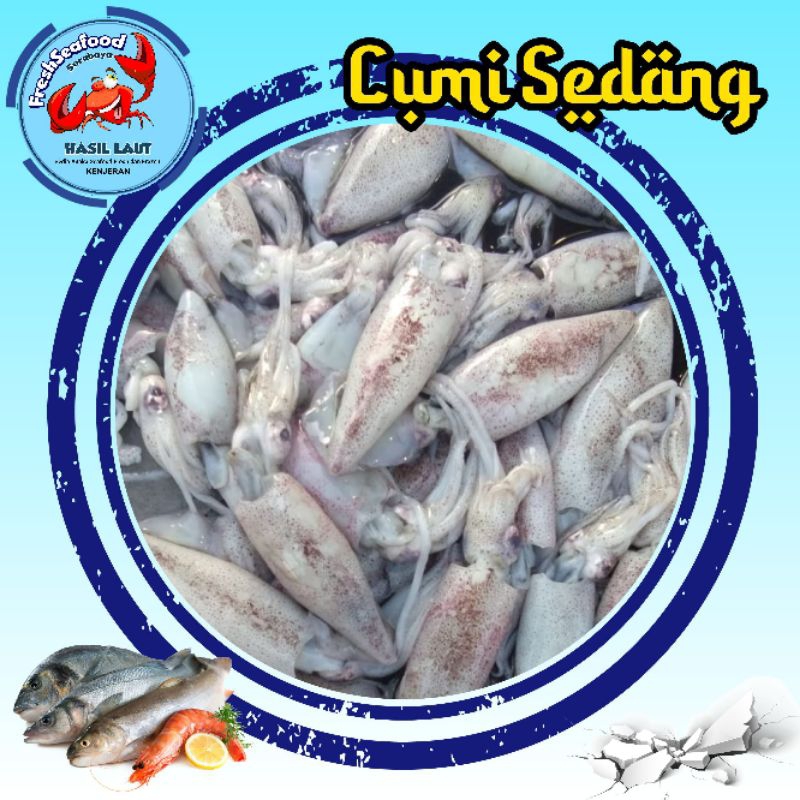 

cumi sedang 1kg
