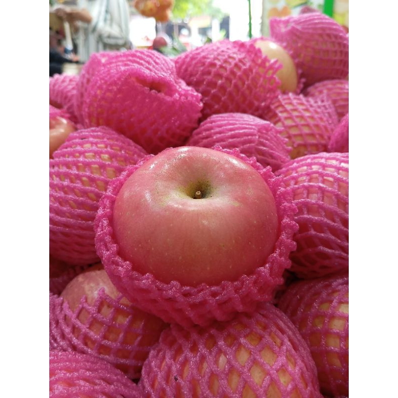 

LulukBuah Apel Fuji China perbuah