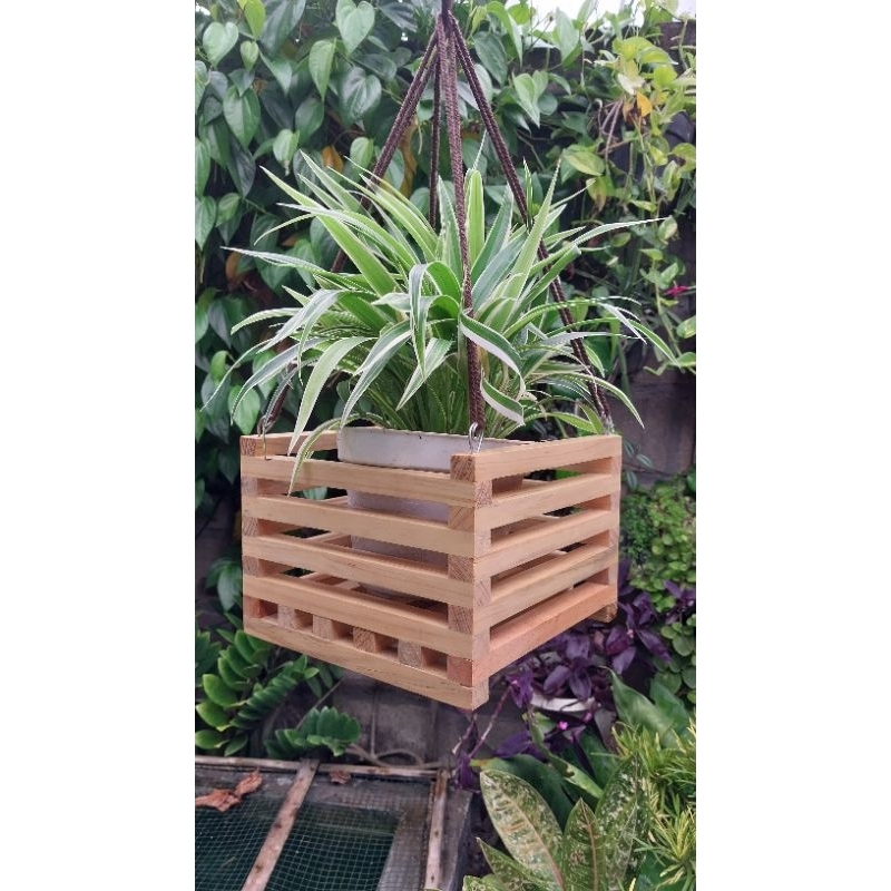pot gantung pot anggrek pot kayu