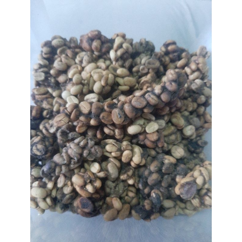 

KOPI LUWAK LIAR ARABIKA SINDORO Green bean/biji ( dijamin asli 100%)