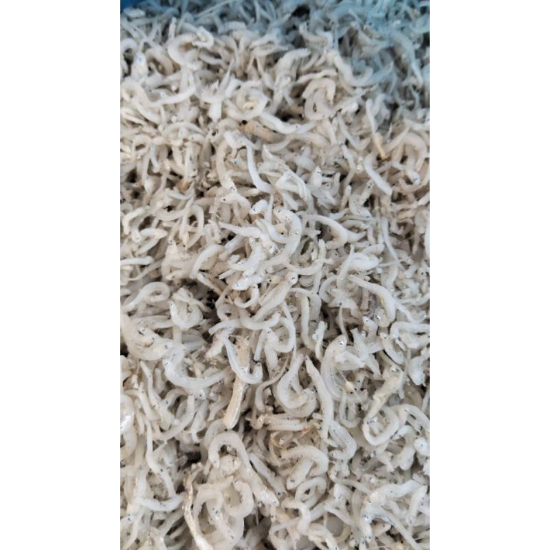 

ikan teri nasi medan / pebut
