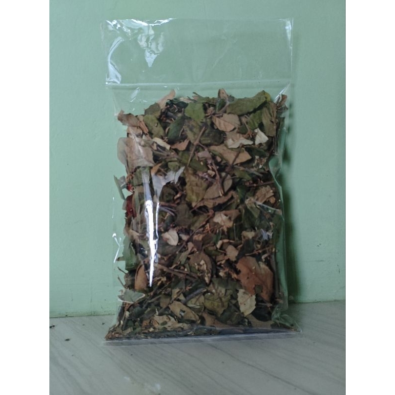 

Tanaman Herbal Daun Benalu Kering 250 Gram