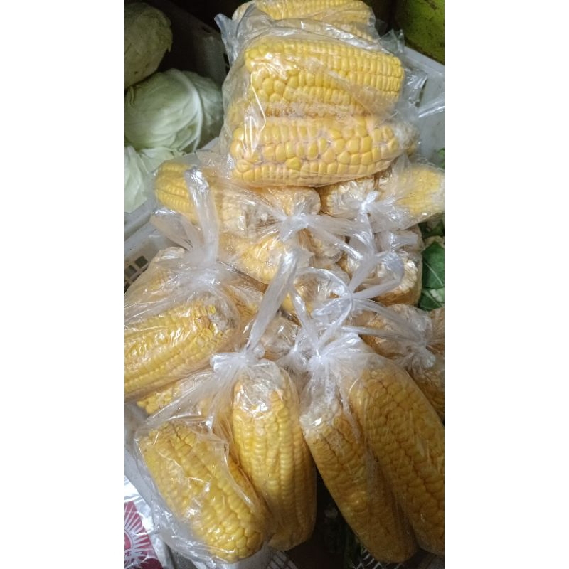 

sayuran segar
