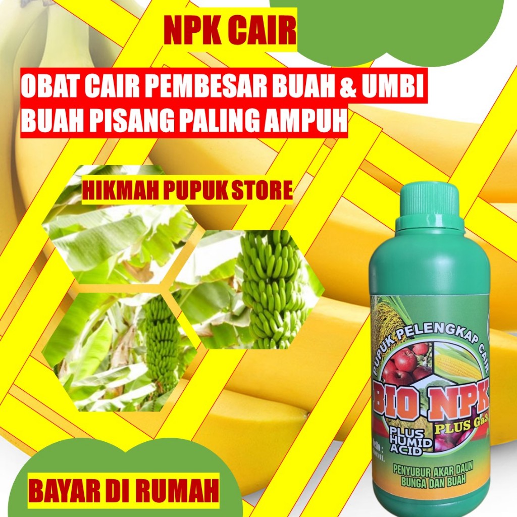 COD Pupuk Pembesar Pisang NPK CAIR GAZA - Pembesar Buah Pisang, Pupuk Pembesar Umbi dan Buah Pisang 