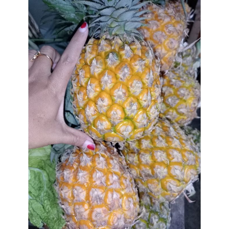 

Buah nanas madu perbj