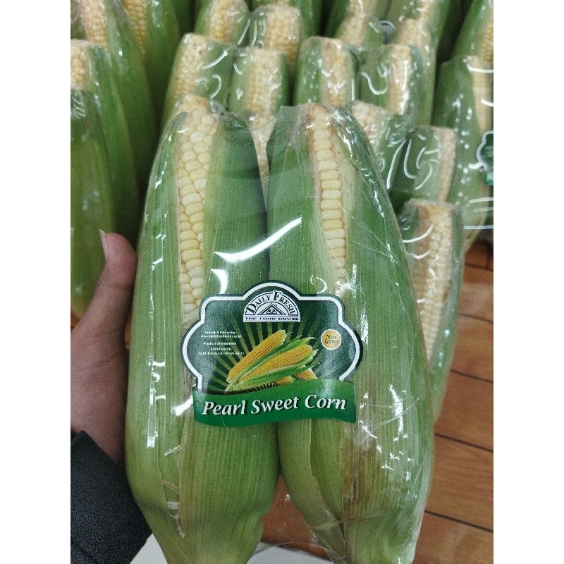 

JAGUNG MANIS KULIT FRESH 1KG