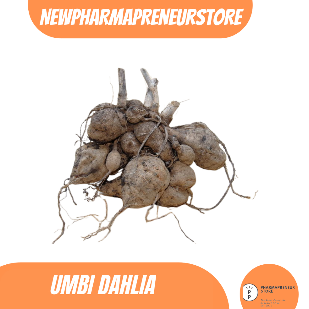 

DRIED SERBUK UMBI DAHLIA BEST QUALITY