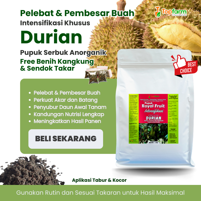 Pupuk Buah Durian Cepat Besar / Pupuk Tanaman Durian / Pupuk Buah Durian Supaya Cepat Berbuah