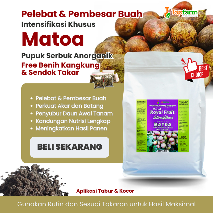 Pupuk Booster Buah Matoa Terbaik / Pupuk Matoa Terbaik / Pupuk Pelebat dan Pembesar Buah Matoa