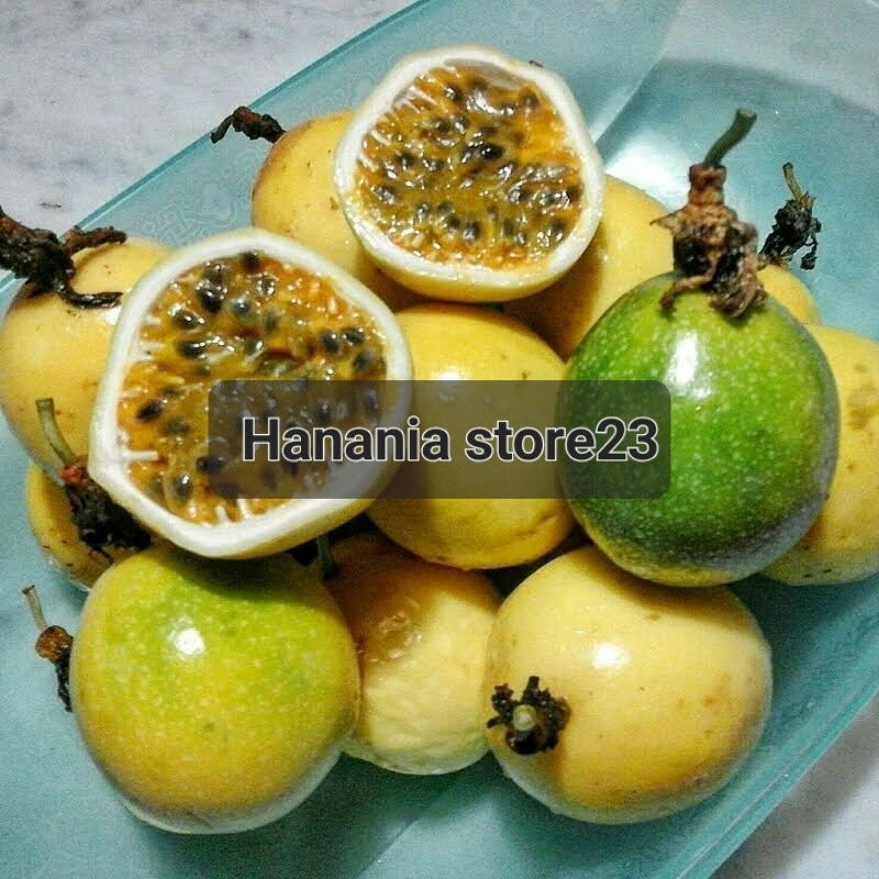 

Buah markisa segar 1kg