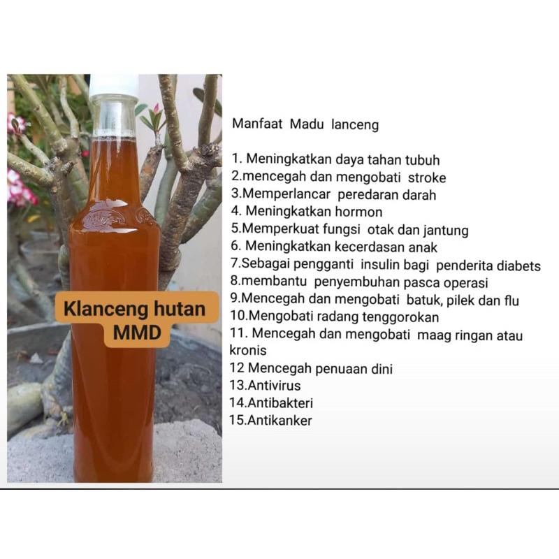 

Madu Klanceng Hutan 1kg