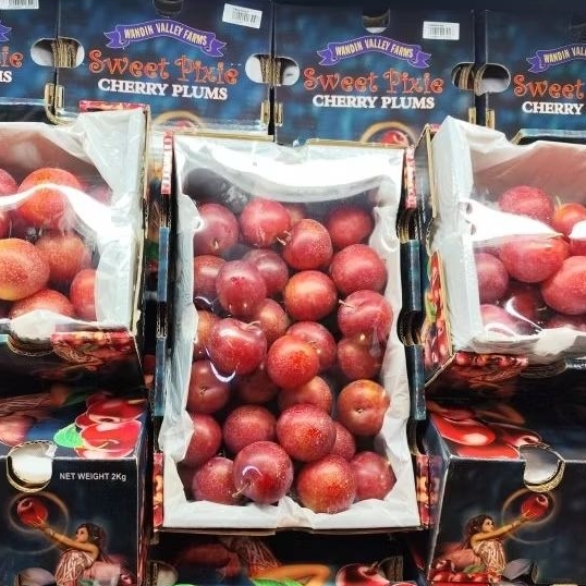

Buah plum sweet Cherry plum Pixie Cherry 2 kg
