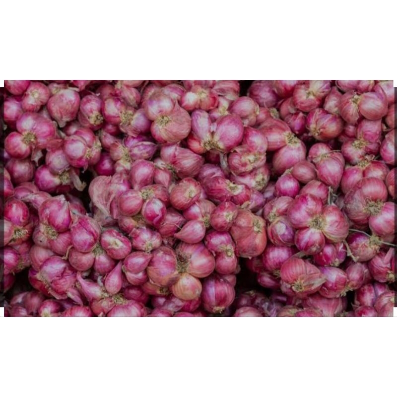 

#Bawangmerahbrebes 1kg