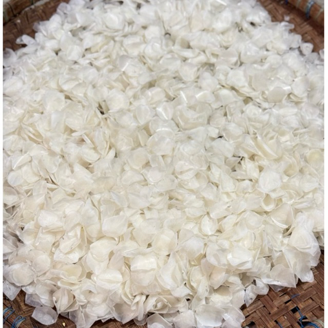 

SISIK IKAN BESAR (250gr, 500gr, 1000gr)