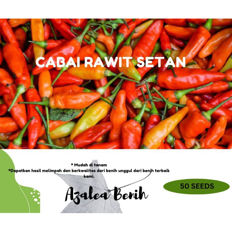 Benih Cabe Rawit Setan