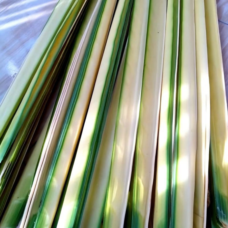 

Janur Kuning fresh isi 30 lembar