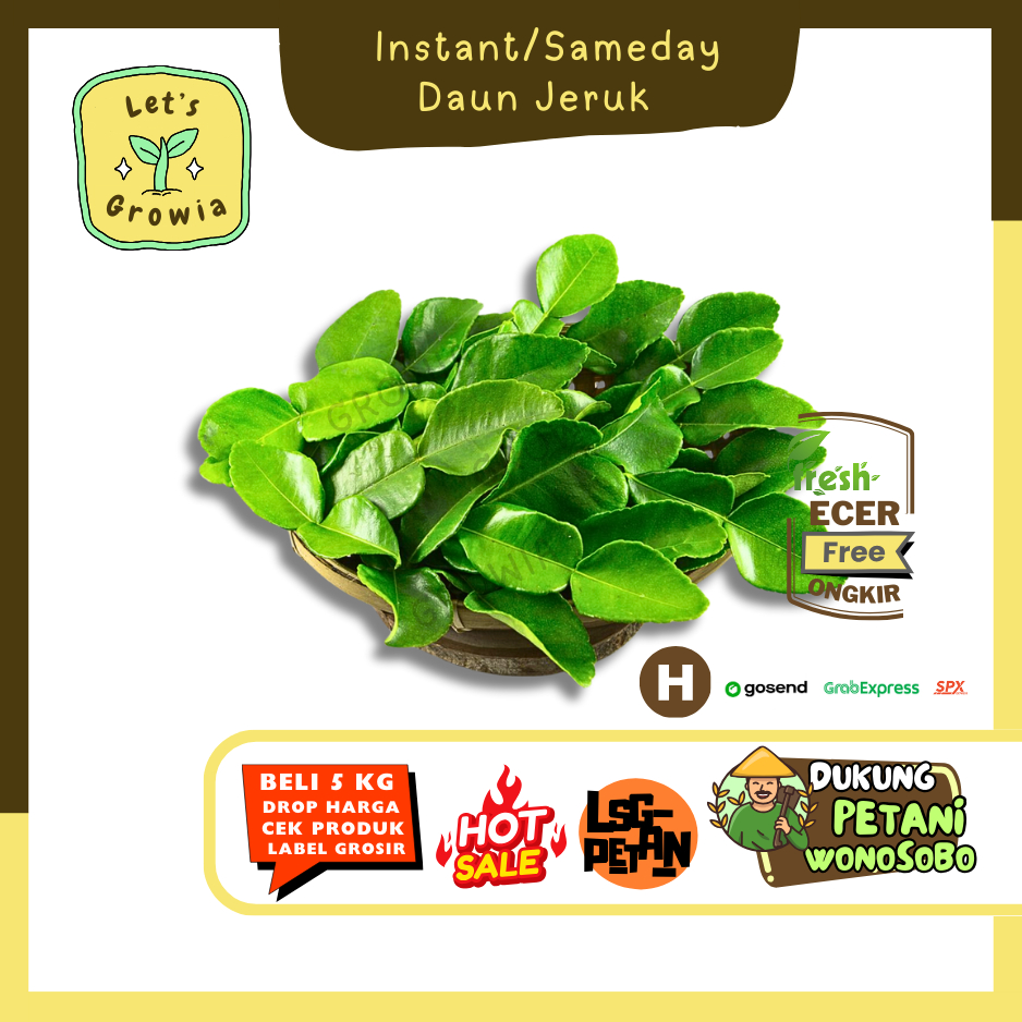 

Growia | Daun Jeruk -- Hasil Petani Lngsung Ecer (H)