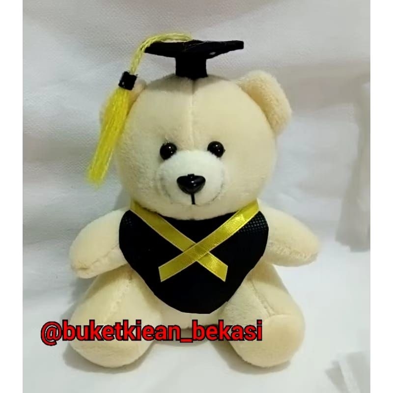 boneka wisuda/ boneka buket / boneka beruang/ boneka wisuda beruang/ buket wisuda / jual boneka wisu