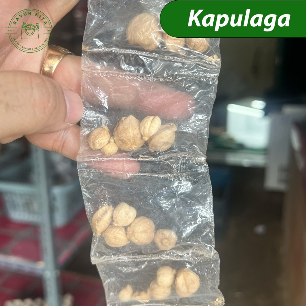 

Kapulaga Kering | sayurkita_id