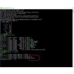 SSH VMESS VLESS TROJAN TERMURAH